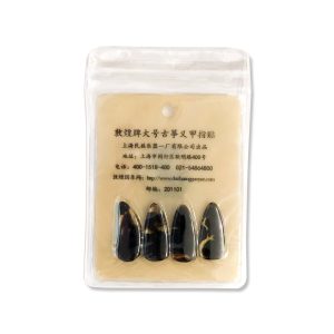 Dunhuang Standard Guzheng Nails 1 hand featured photo